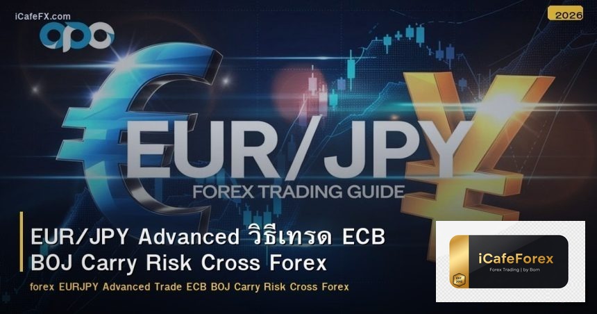 EUR/JPY Advanced วิธีเทรด ECB BOJ Carry Risk Cross Forex