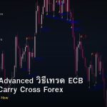 EUR/JPY Advanced วิธีเทรด ECB BOJ Risk Carry Cross Forex