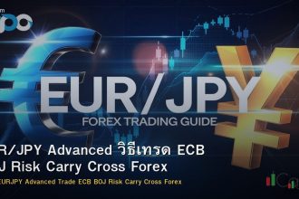 EUR/JPY Advanced วิธีเทรด ECB BOJ Risk Carry Cross Forex