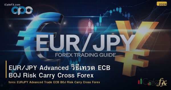 EUR/JPY Advanced วิธีเทรด ECB BOJ Risk Carry Cross Forex