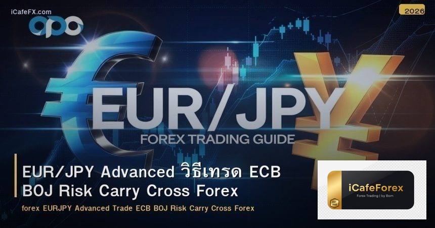 EUR/JPY Advanced วิธีเทรด ECB BOJ Risk Carry Cross Forex
