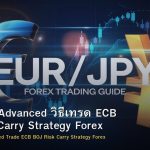 EUR/JPY Advanced วิธีเทรด ECB BOJ Risk Carry Strategy Forex
