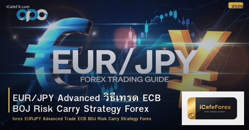 EUR/JPY Advanced วิธีเทรด ECB BOJ Risk Carry Strategy Forex