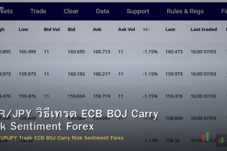 EUR/JPY วิธีเทรด ECB BOJ Carry Risk Sentiment Forex