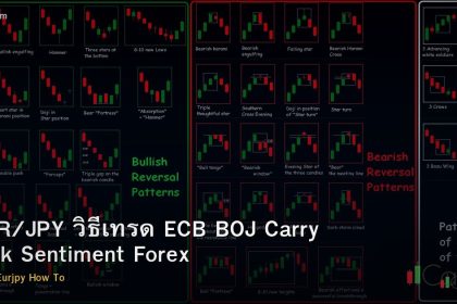 EUR/JPY วิธีเทรด ECB BOJ Carry Risk Sentiment Forex