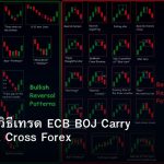 EUR/JPY วิธีเทรด ECB BOJ Carry Trade Risk Cross Forex