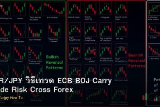 EUR/JPY วิธีเทรด ECB BOJ Carry Trade Risk Cross Forex
