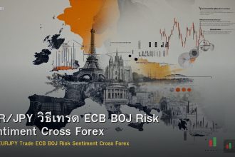 EUR/JPY วิธีเทรด ECB BOJ Risk Sentiment Cross Forex