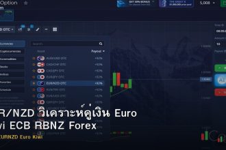 EUR/NZD วิเคราะห์คู่เงิน Euro Kiwi ECB RBNZ Forex