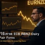 EUR/NZD วิธีเทรด ECB RBNZ Dairy EU Cross Pair Forex