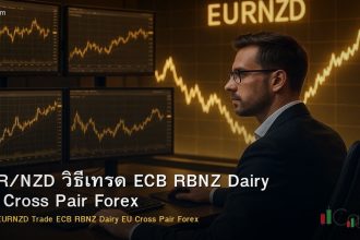 EUR/NZD วิธีเทรด ECB RBNZ Dairy EU Cross Pair Forex