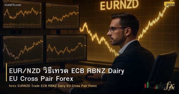 EUR/NZD วิธีเทรด ECB RBNZ Dairy EU Cross Pair Forex