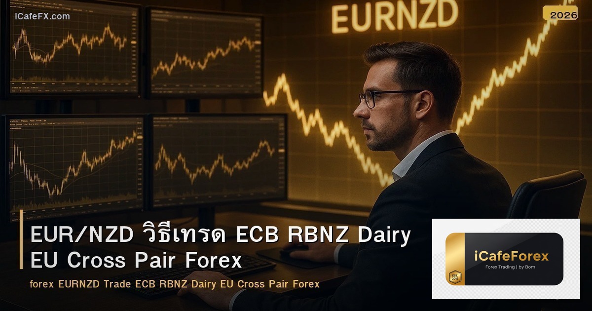 EUR/NZD วิธีเทรด ECB RBNZ Dairy EU Cross Pair Forex