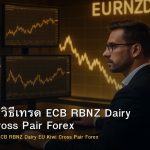EUR/NZD วิธีเทรด ECB RBNZ Dairy EU Kiwi Cross Pair Forex