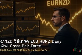 EUR/NZD วิธีเทรด ECB RBNZ Dairy EU Kiwi Cross Pair Forex
