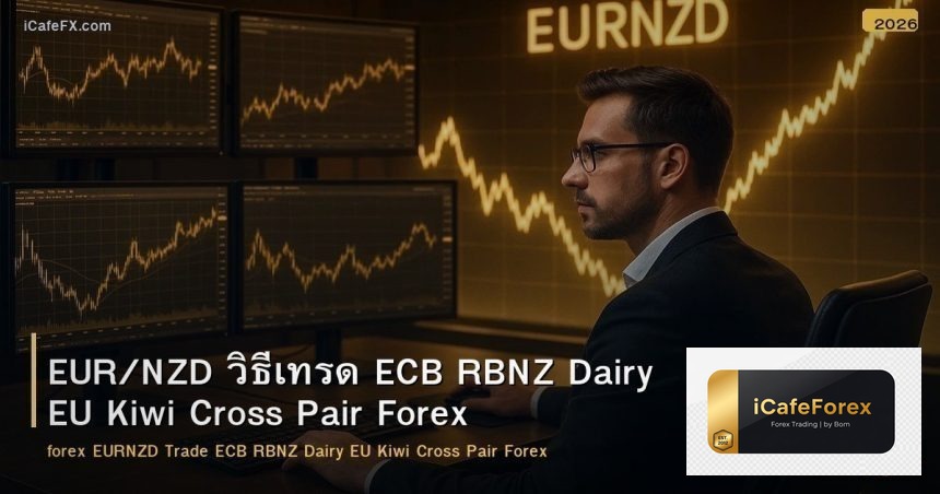 EUR/NZD วิธีเทรด ECB RBNZ Dairy EU Kiwi Cross Pair Forex