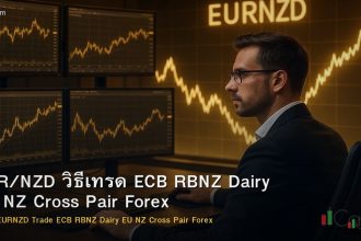 EUR/NZD วิธีเทรด ECB RBNZ Dairy EU NZ Cross Pair Forex