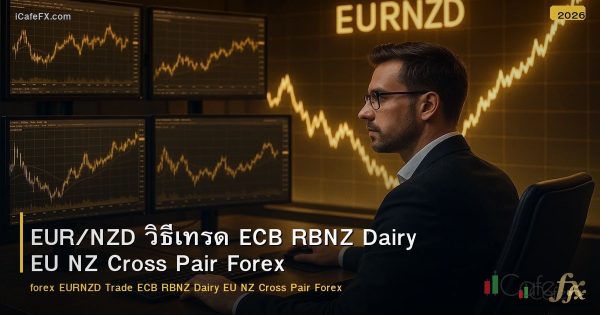 EUR/NZD วิธีเทรด ECB RBNZ Dairy EU NZ Cross Pair Forex