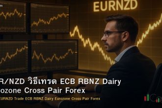 EUR/NZD วิธีเทรด ECB RBNZ Dairy Eurozone Cross Pair Forex