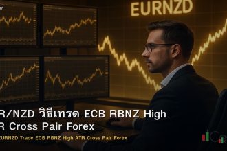 EUR/NZD วิธีเทรด ECB RBNZ High ATR Cross Pair Forex