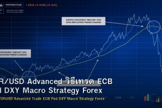 EUR/USD Advanced วิธีเทรด ECB Fed DXY Macro Strategy Forex