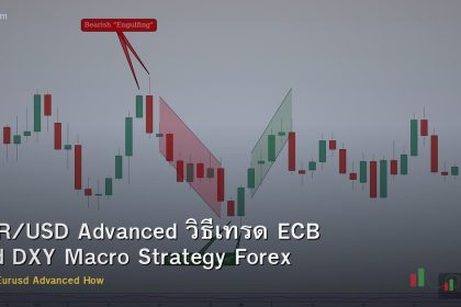 EUR/USD Advanced วิธีเทรด ECB Fed DXY Macro Strategy Forex