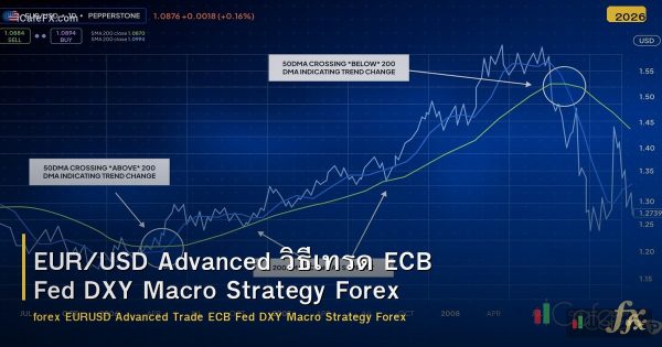 EUR/USD Advanced วิธีเทรด ECB Fed DXY Macro Strategy Forex