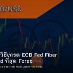 EUR/USD วิธีเทรด ECB Fed Fiber คู่เงิน Liquid ที่สุด Forex