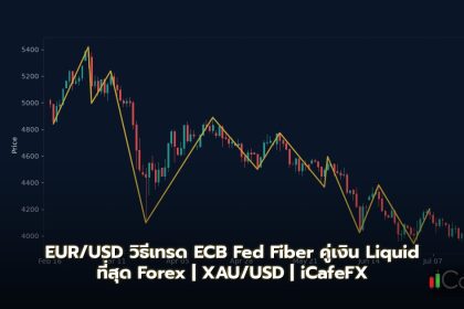 EUR/USD วิธีเทรด ECB Fed Fiber คู่เงิน Liquid ที่สุด Forex