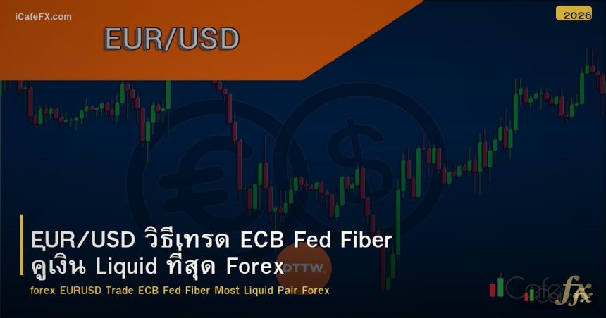 EUR/USD วิธีเทรด ECB Fed Fiber คู่เงิน Liquid ที่สุด Forex