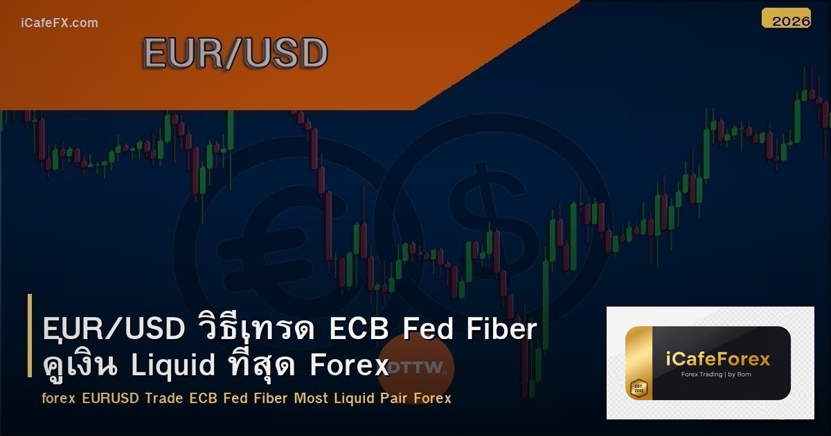 EUR/USD วิธีเทรด ECB Fed Fiber คู่เงิน Liquid ที่สุด Forex