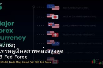 EUR/USD วิธีเทรดคู่เงินที่ Liquid ที่สุด ECB Fed Forex