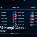 EUR/USD วิธีเทรดคู่เงินนิยมสุด ECB Fed Forex