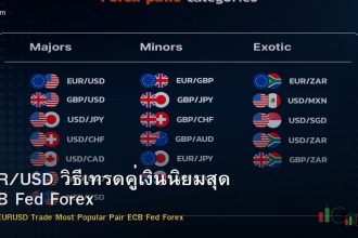 EUR/USD วิธีเทรดคู่เงินนิยมสุด ECB Fed Forex