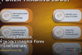 Expectancy Formula วิธีคำนวณว่ากลยุทธ์ Forex จะกำไรหรือขาดทุน