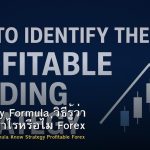 Expectancy Formula วิธีรู้ว่า Strategy กำไรหรือไม่ Forex