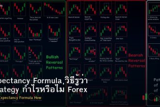 Expectancy Formula วิธีรู้ว่า Strategy กำไรหรือไม่ Forex