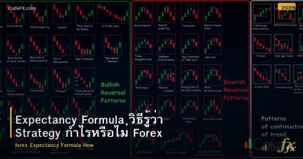 Expectancy Formula วิธีรู้ว่า Strategy กำไรหรือไม่ Forex