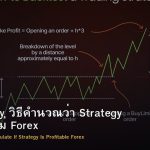 Expectancy วิธีคำนวณว่า Strategy กำไรหรือไม่ Forex