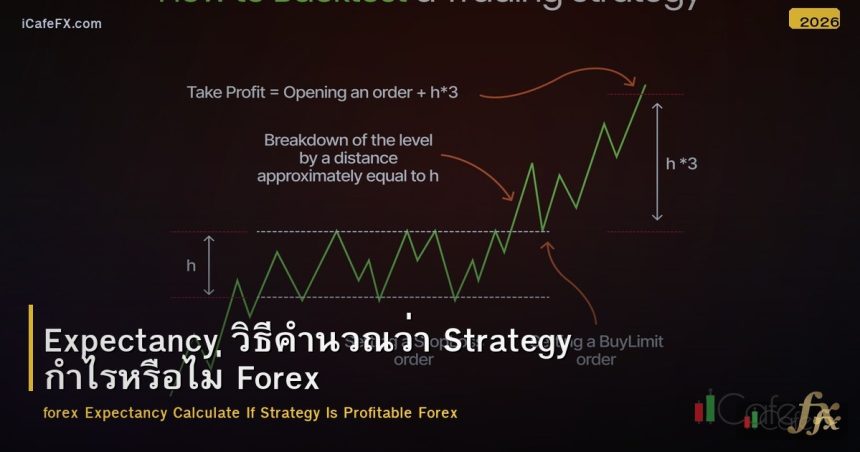Expectancy วิธีคำนวณว่า Strategy กำไรหรือไม่ Forex