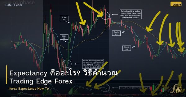 Expectancy คืออะไร? วิธีคำนวณ Trading Edge Forex