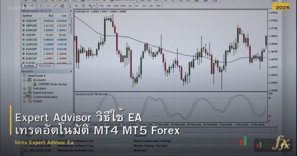 Expert Advisor วิธีใช้ EA เทรดอัตโนมัติ MT4 MT5 Forex