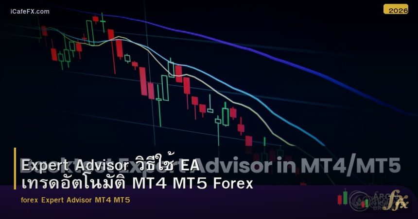 Expert Advisor วิธีใช้ EA เทรดอัตโนมัติ MT4 MT5 Forex