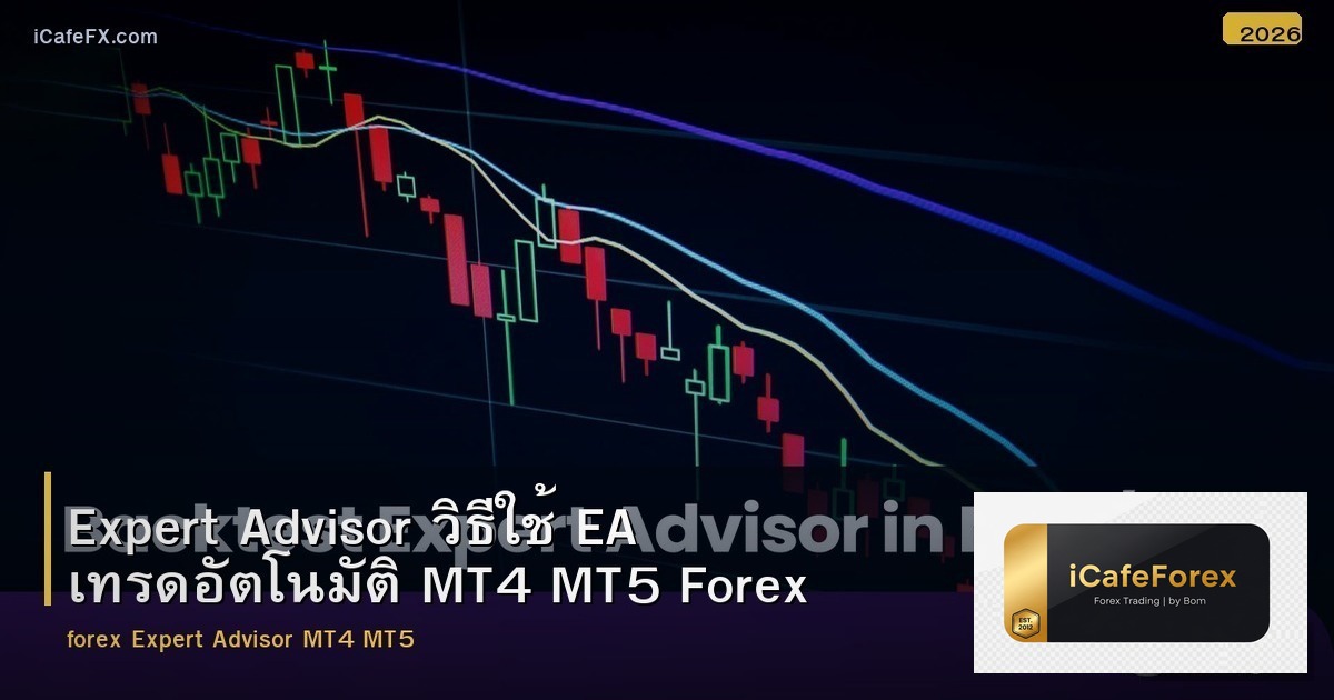 Expert Advisor วิธีใช้ EA เทรดอัตโนมัติ MT4 MT5 Forex