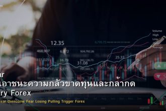 Fear วิธีเอาชนะความกลัวขาดทุนและกล้ากด Entry Forex