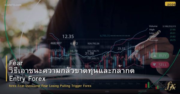 Fear วิธีเอาชนะความกลัวขาดทุนและกล้ากด Entry Forex