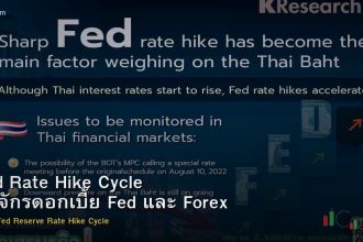 Fed Rate Hike Cycle วัฏจักรดอกเบี้ย Fed และ Forex