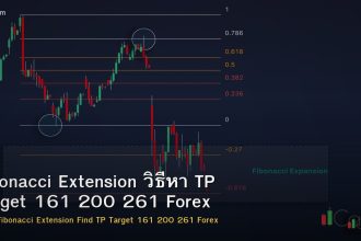 Fibonacci Extension วิธีหา TP Target 161 200 261 Forex