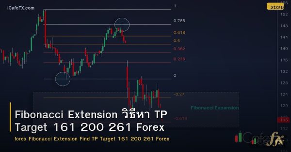 Fibonacci Extension วิธีหา TP Target 161 200 261 Forex