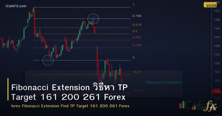 Fibonacci Extension วิธีหา TP Target 161 200 261 Forex